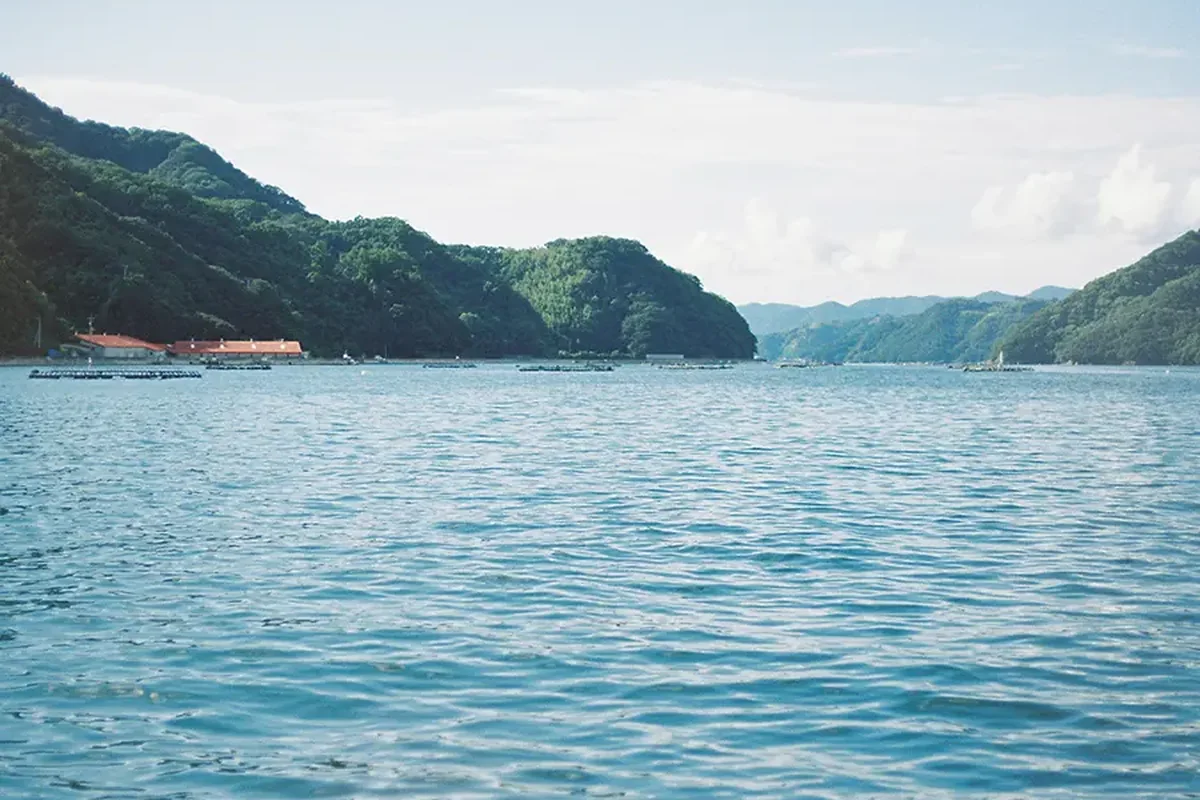 いかだの浮かぶ高知の静かな入り江