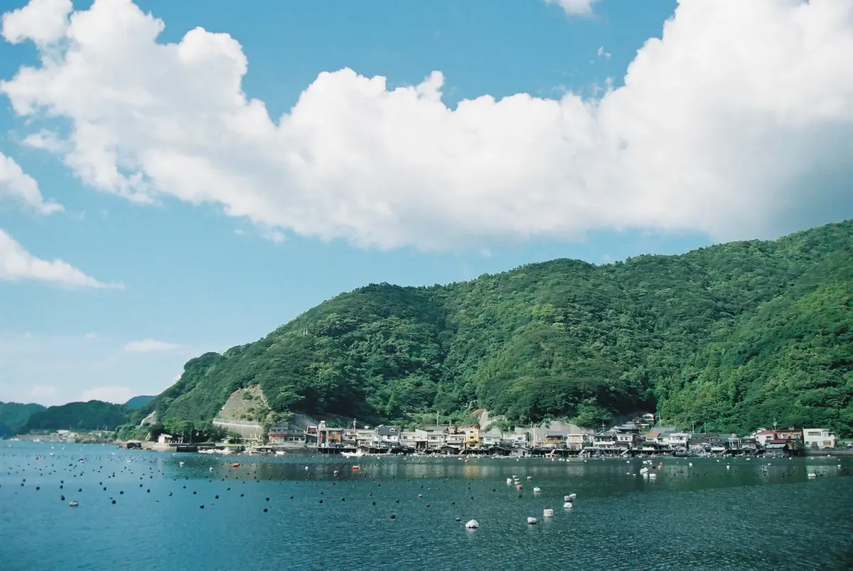 真珠筏の浮かぶ宇和島の漁村