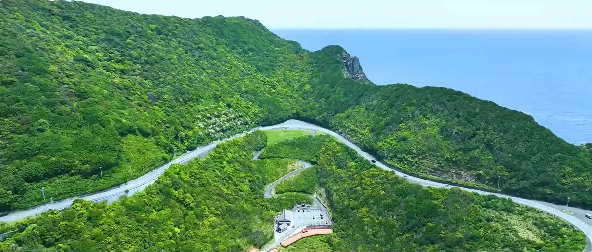 高知の海岸線を空から撮影した映像の一場面