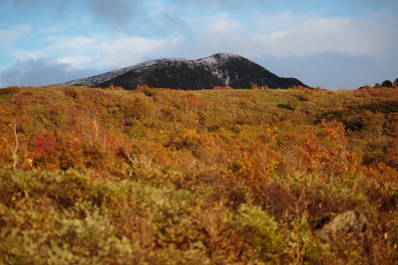 紅葉した草原と、うっすら雪をかぶった山