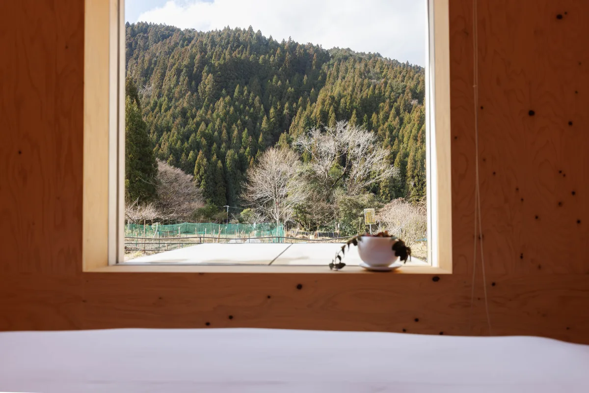 住箱の室内から、窓越しに見える山と枯れ木